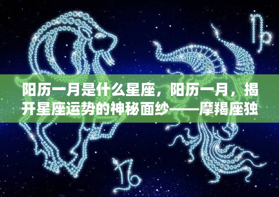 阳历一月星座揭秘,摩羯座独领风骚,揭开星座运势神秘面纱