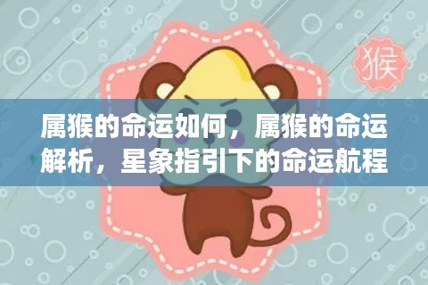 属猴人的命运航程,星象指引下的深度解析与探索