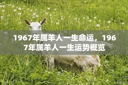 1967年属羊人的命运与运势概览
