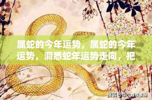 属蛇今年运势揭秘,洞悉蛇年走向,把握未来机遇