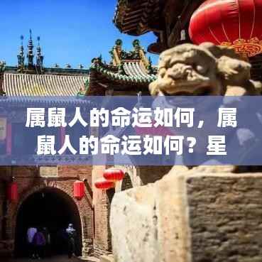 属鼠人的命运展望,星象指引下的未来探索