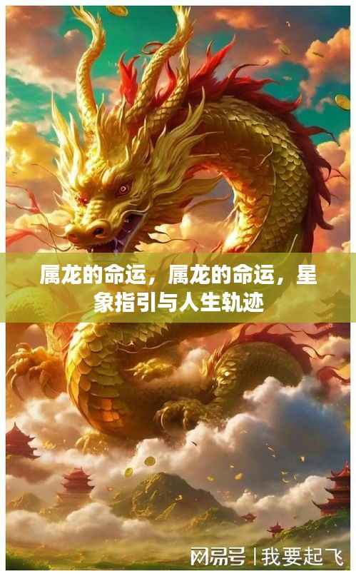 属龙的命运,星象指引下的属龙人生轨迹