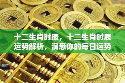 十二生肖时辰运势解析,洞悉每日运势走向