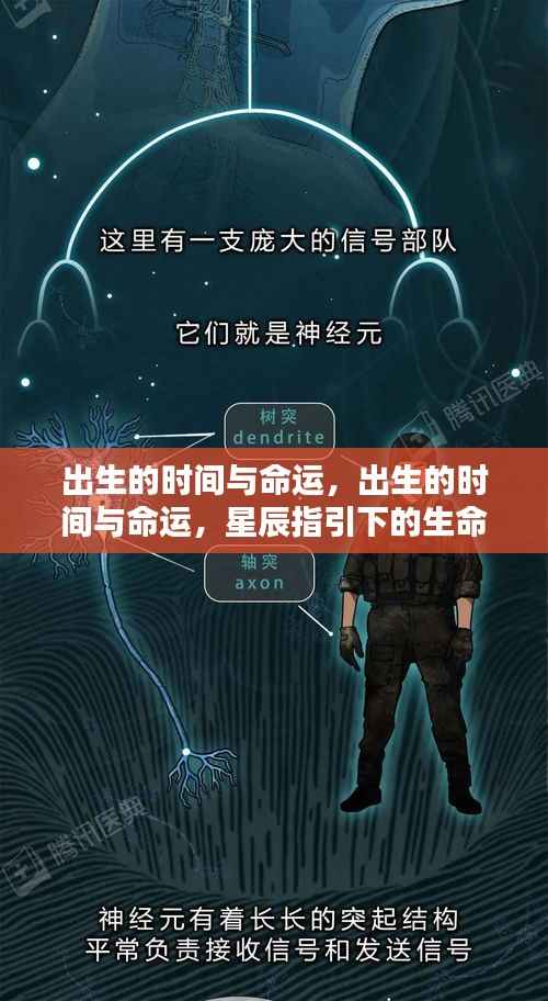 星辰指引,出生时间与命运交织的生命轨迹