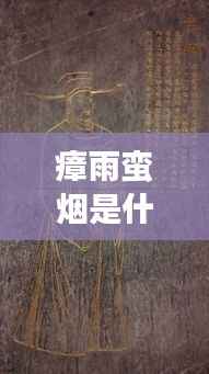 瘴雨蛮烟与生肖运势,神秘交织的运势解读探索