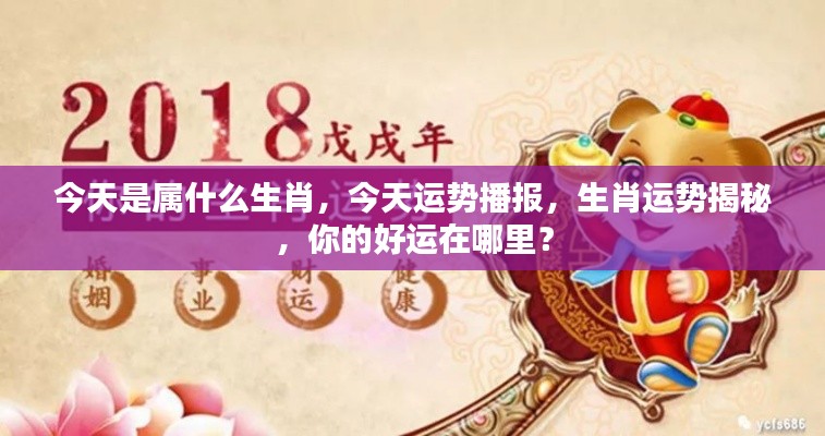 揭秘今日生肖运势,探寻你的幸运之源