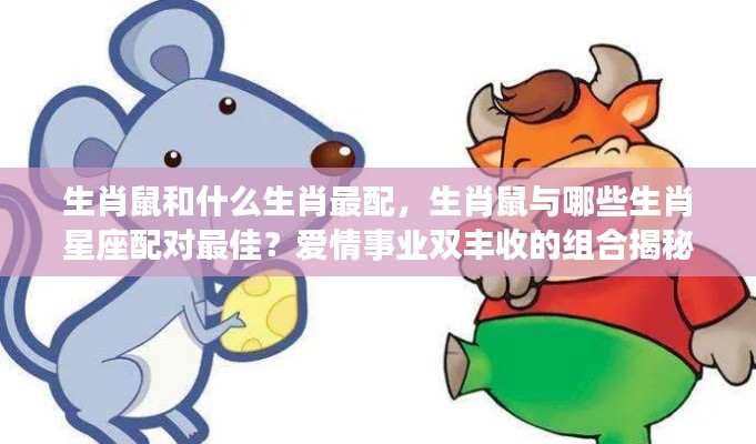 揭秘生肖鼠的最佳配对组合,爱情事业双丰收的星座配对解析