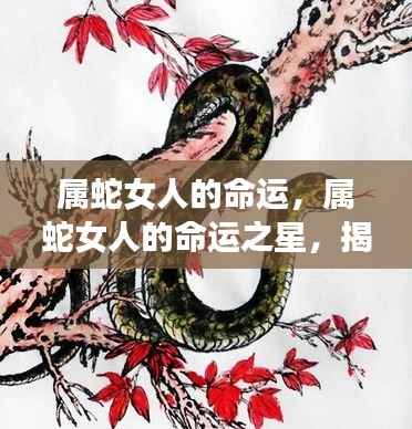 属蛇女性的命运之星揭秘,运势走向深度解析