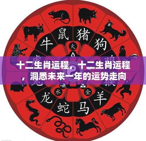洞悉未来一年运势,十二生肖运程详解