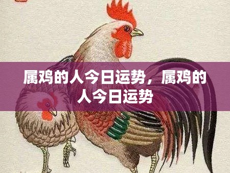 属鸡人士今日运势运势详解