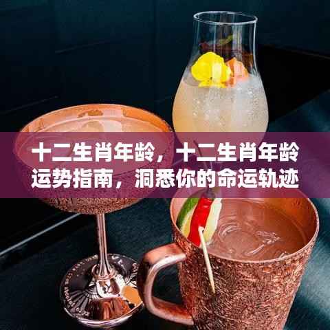 十二生肖年龄运势指南,洞悉命运轨迹,掌握人生起伏
