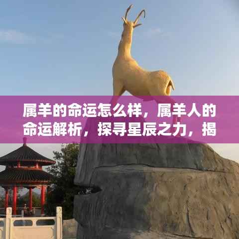 属羊人的命运解密,星辰之力揭示未来走向