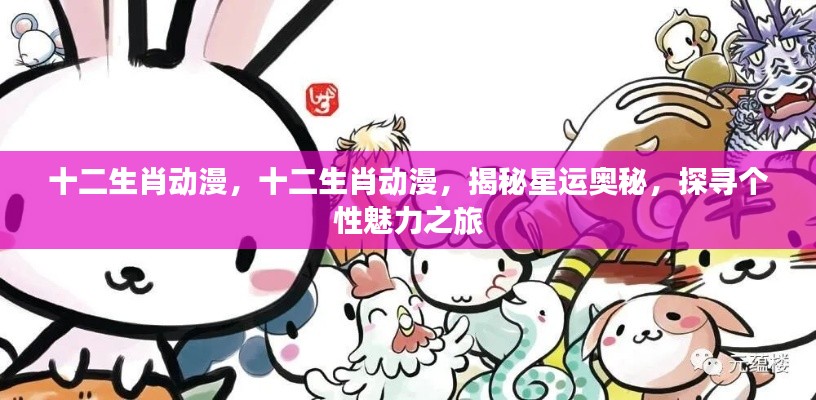 十二生肖动漫,探寻星运奥秘与个性魅力之旅