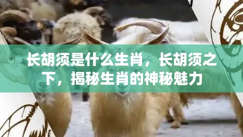 揭秘生肖神秘魅力,长胡须背后的故事