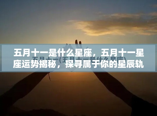 五月十一星座运势揭秘,探寻属于你的星辰轨迹,掌握未来运势走向