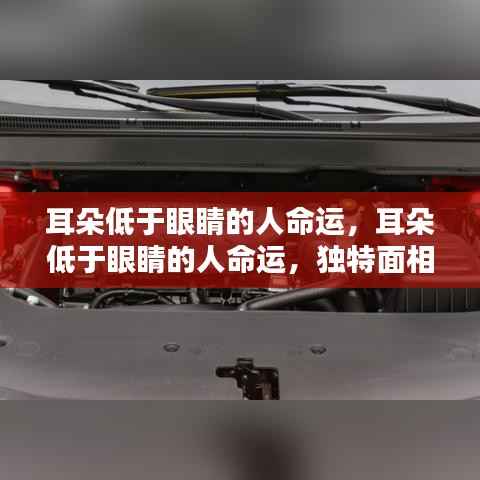 耳朵低于眼睛的人命运解析,独特面相揭示命运之谜