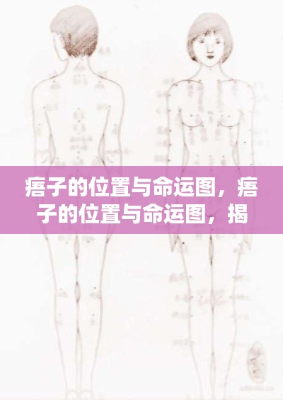 痦子位置与命运图,揭示星相与身体痣相的奥秘联系