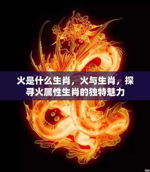 火属性生肖的独特魅力探寻,火与生肖的关联及解析