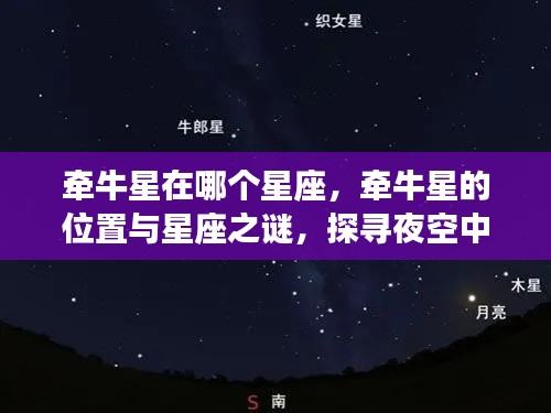 探寻夜空中最亮的指引之星,牵牛星的位置与星座之谜解析