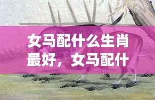 女马生肖的最佳配对生肖与星座运势下的生肖相性分析