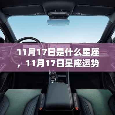 11月17日天蝎座运势揭秘,神秘魅力与运势同步展现
