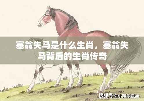 塞翁失马背后的生肖传奇探索,失马究竟属于哪个生肖?