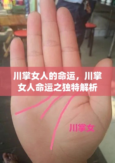 川掌女人的命运解析,独特视角下的女性命运探讨