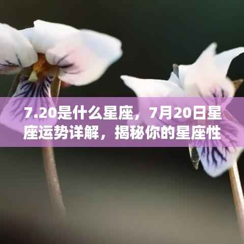 揭秘7月20日星座运势,性格特质与未来走向深度解析