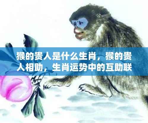 猴的贵人相助,生肖互助联盟揭秘,猴的贵人是什么生肖?