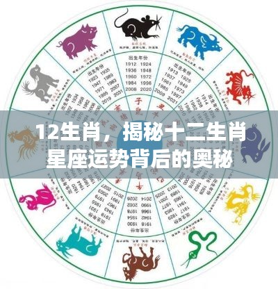 揭秘十二生肖星座运势背后的秘密与奥秘