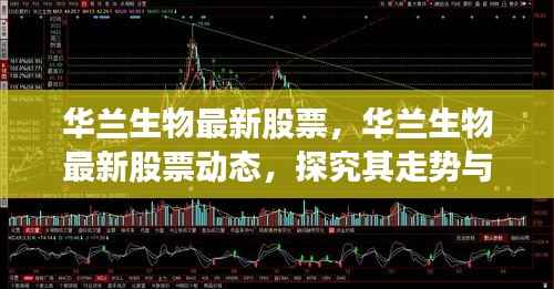华兰生物最新股票动态解析,走势、投资策略深度探究
