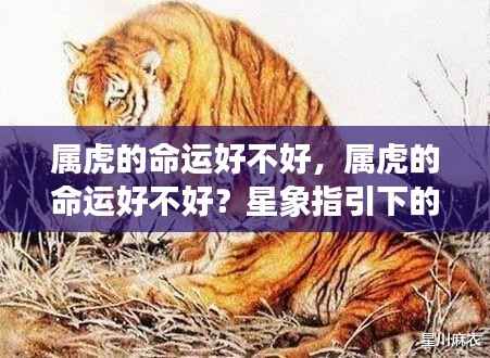 星象揭秘,属虎人的命运解析与运势展望
