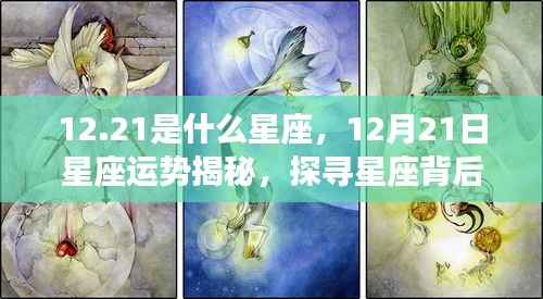 揭秘12月21日星座运势与神秘力量,探寻射手座背后的秘密力量