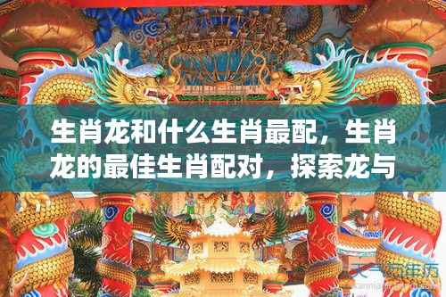 生肖龙与哪些生肖共舞云端,最佳生肖配对探索