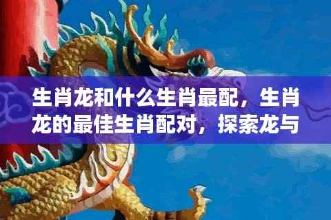 生肖龙与哪些生肖共舞云端,最佳生肖配对探索