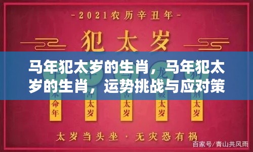 马年犯太岁的生肖运势挑战及应对策略