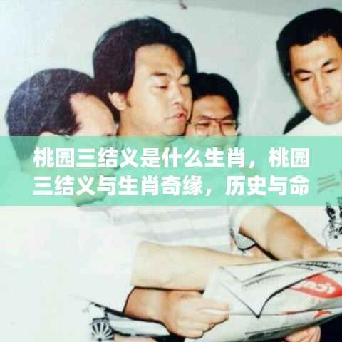 桃园三结义生肖奇缘,历史与命运的交织探寻