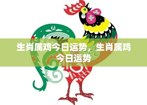 生肖属鸡今日运势详解