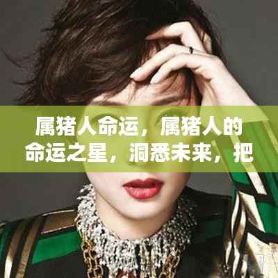 属猪人的命运之星,洞悉未来,把握机遇之道