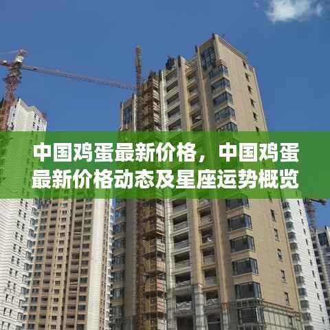 中国鸡蛋最新价格动态与星座运势概览