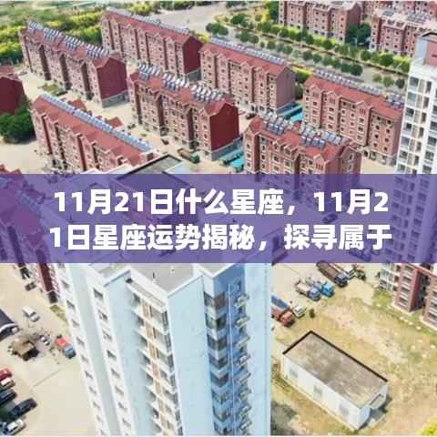 揭秘11月21日星座运势与星辰轨迹,探寻属于你的星座命运