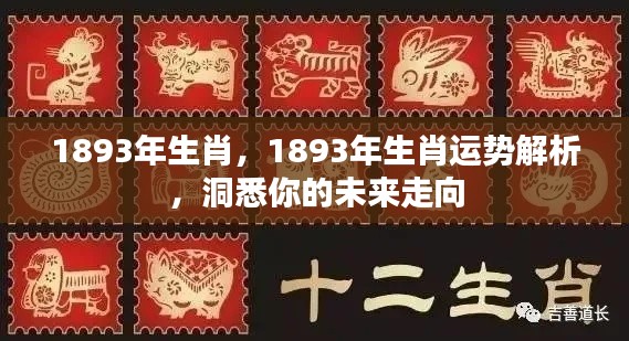 1893年属相运势深度解析,洞悉未来走向的生肖运势指南