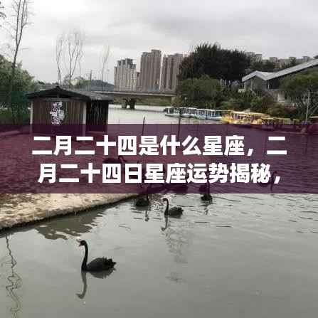 二月二十四日星座运势揭秘,探寻属于你的星辰轨迹与星座运势展望