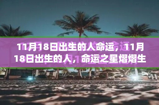 11月18日出生者的命运之星,熠熠生辉的生辰缘分