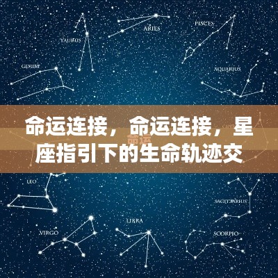 星座指引下的生命轨迹,命运交织的连接线