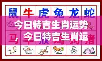 今日特吉生肖运势详解及预测