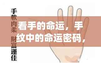 手纹中的命运密码,解读双手揭示的未来蓝图