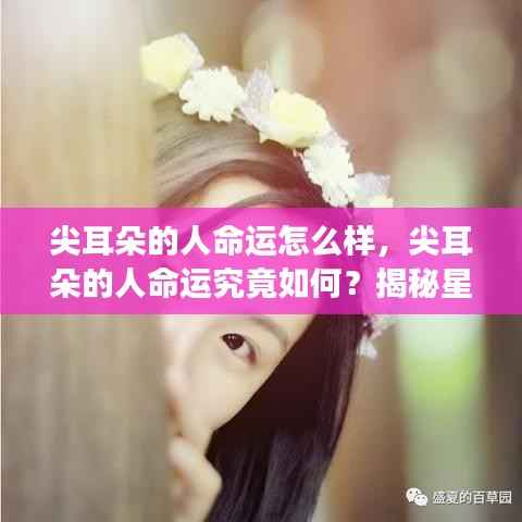 尖耳朵的人命运揭秘，星座运势背后的秘密探究