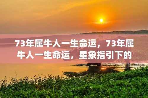 星象指引下的牛年人生,揭秘73年属牛人的命运轨迹