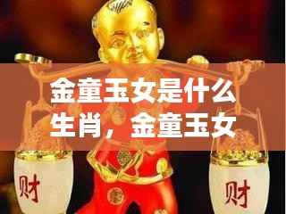 黄道星座与生肖奥秘揭秘,金童玉女的生肖运势探索